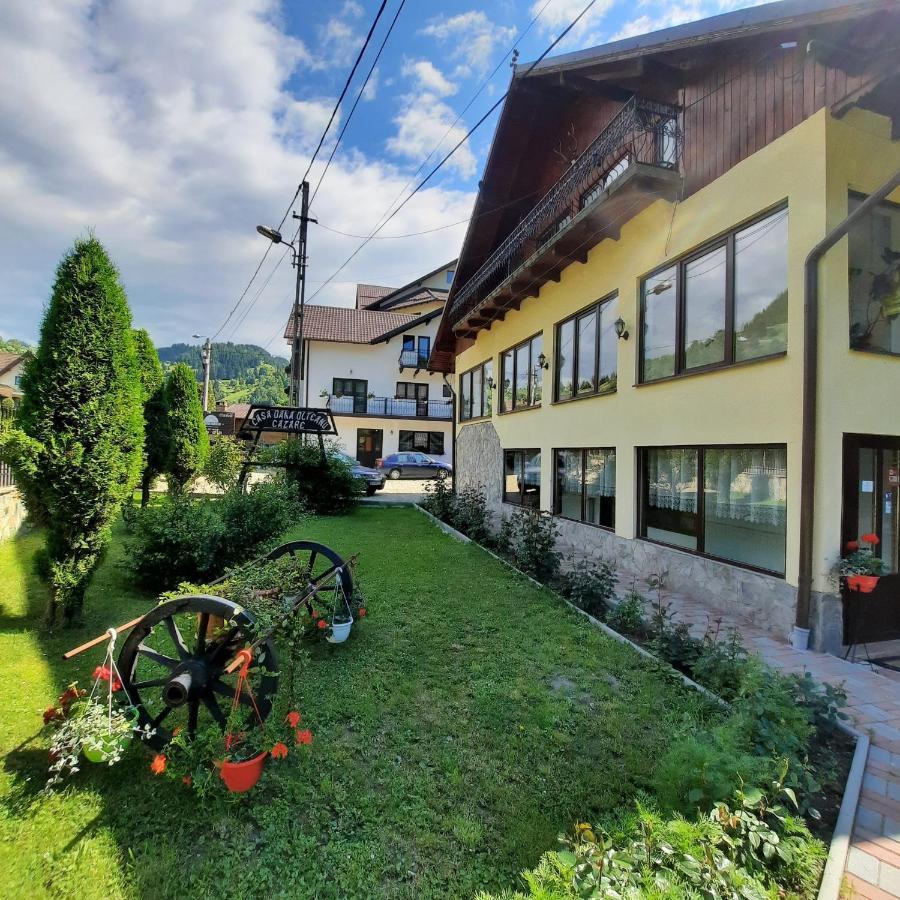 米奥修德萨斯 Casa Dana Olteanu酒店 外观 照片